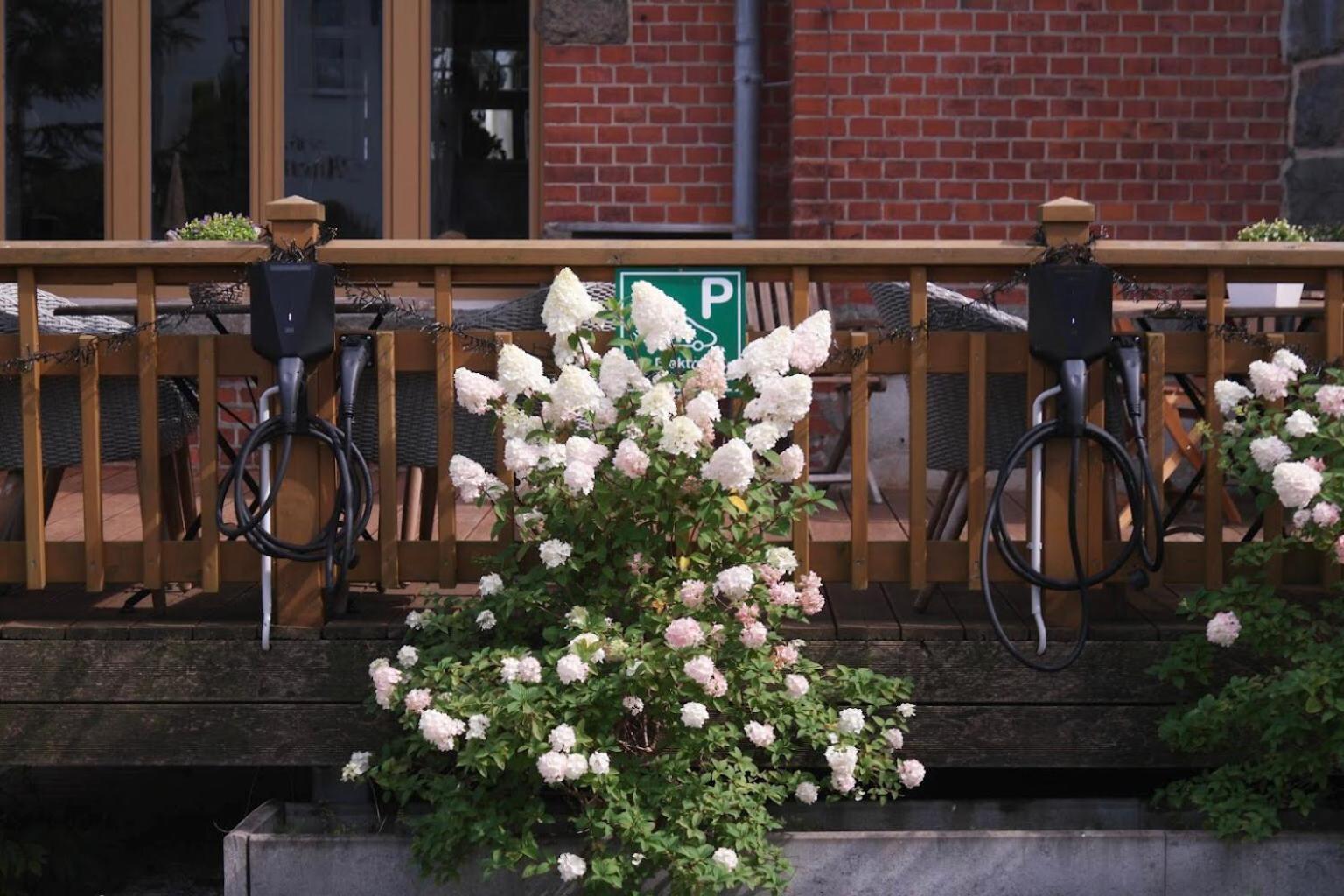 Comfort-Hotel Garni Schierker Waldperle - Inklusive Wellness Экстерьер фото